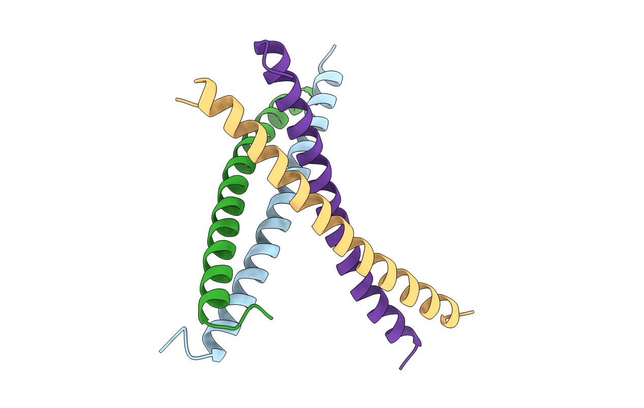 3VMX image