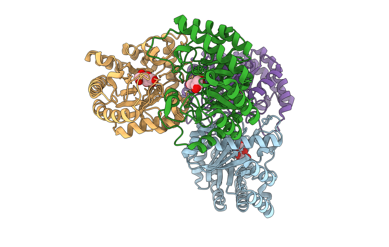 3VNM image