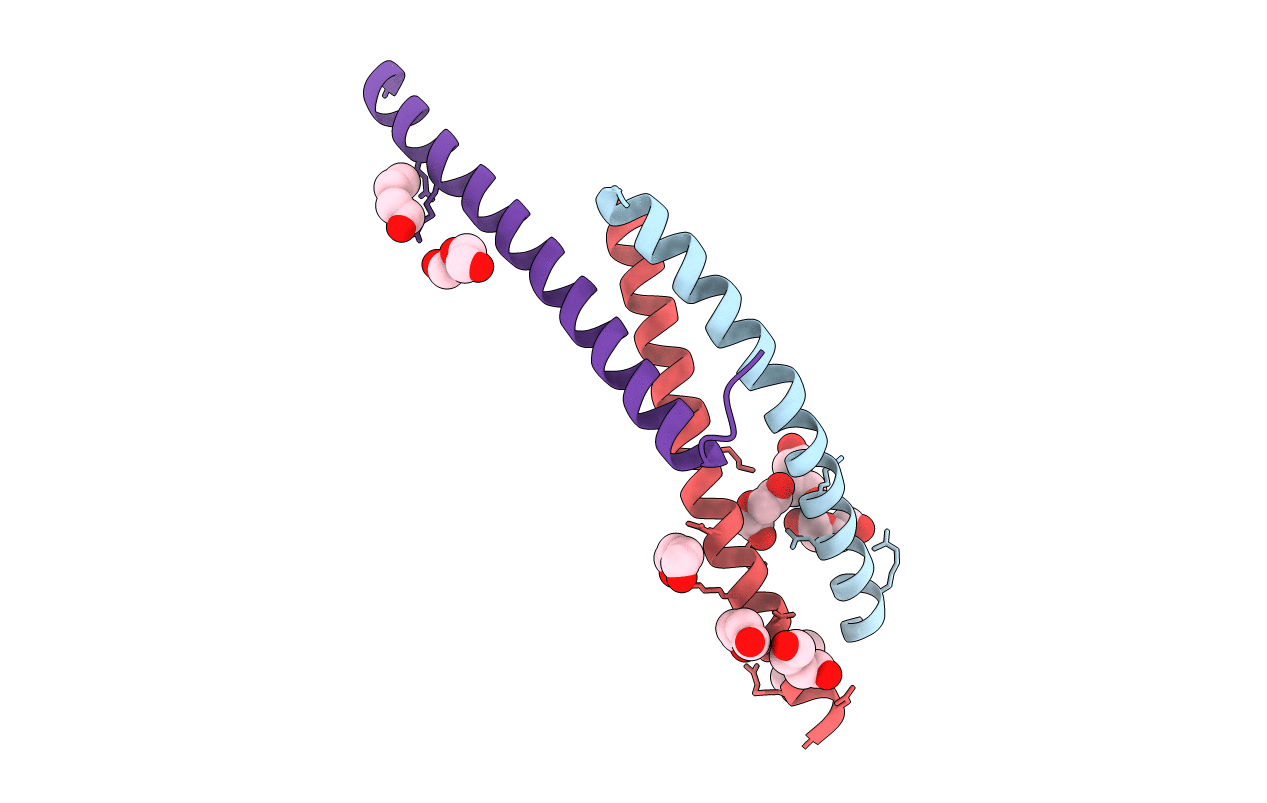 3VOP image