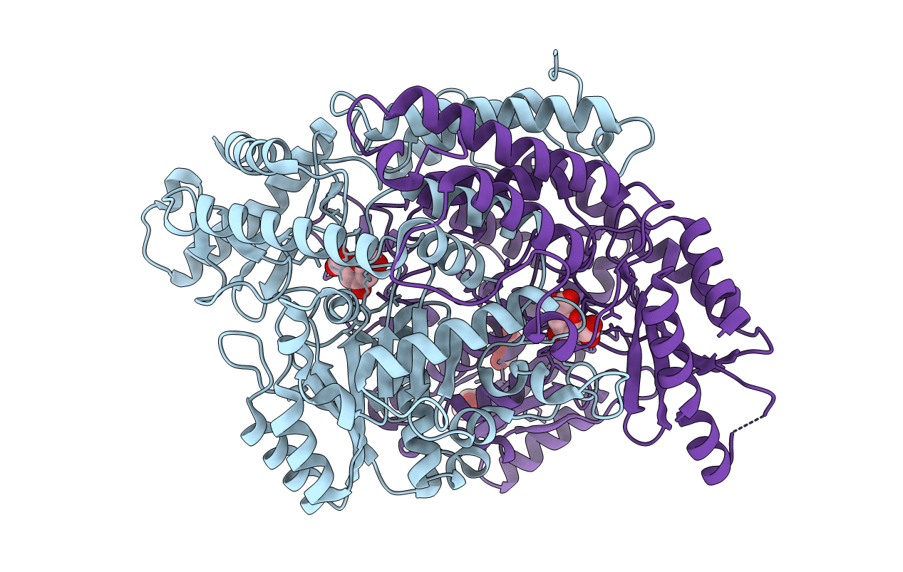 3VP6 image