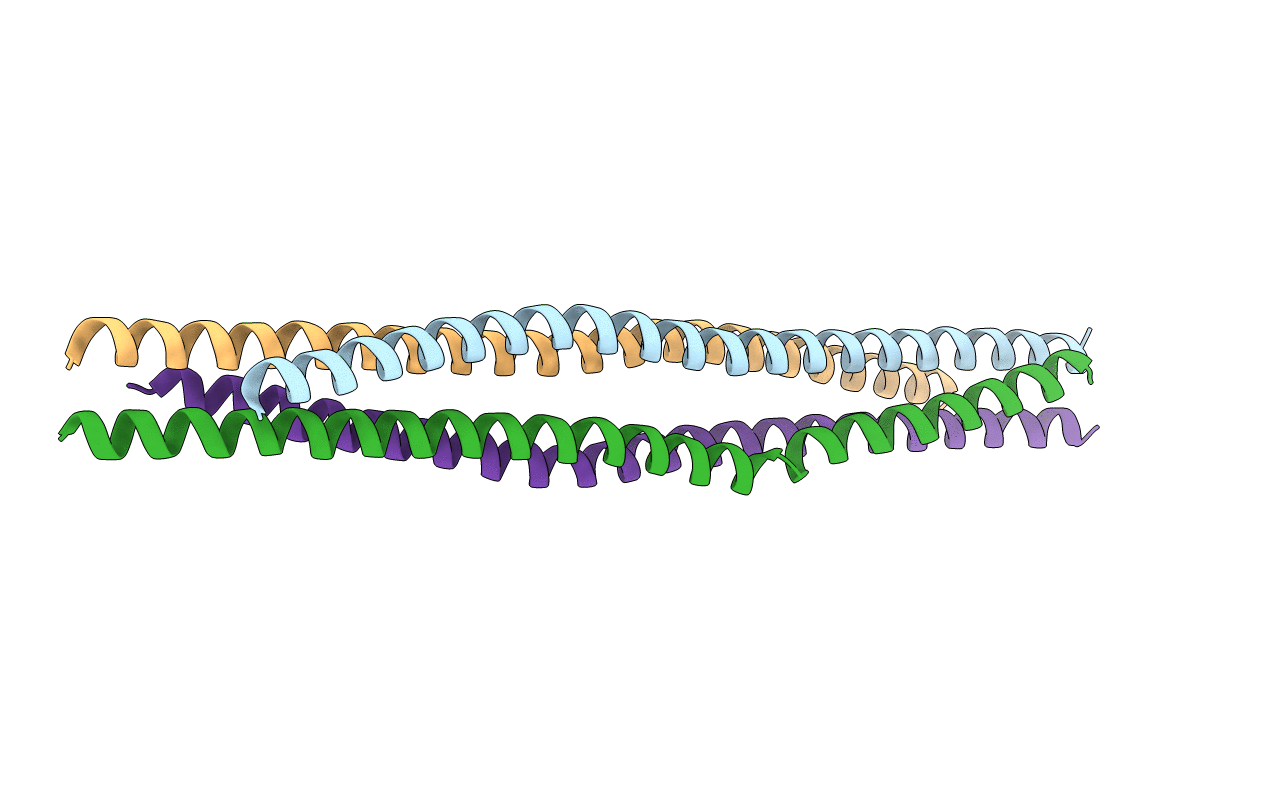 3VP8 image