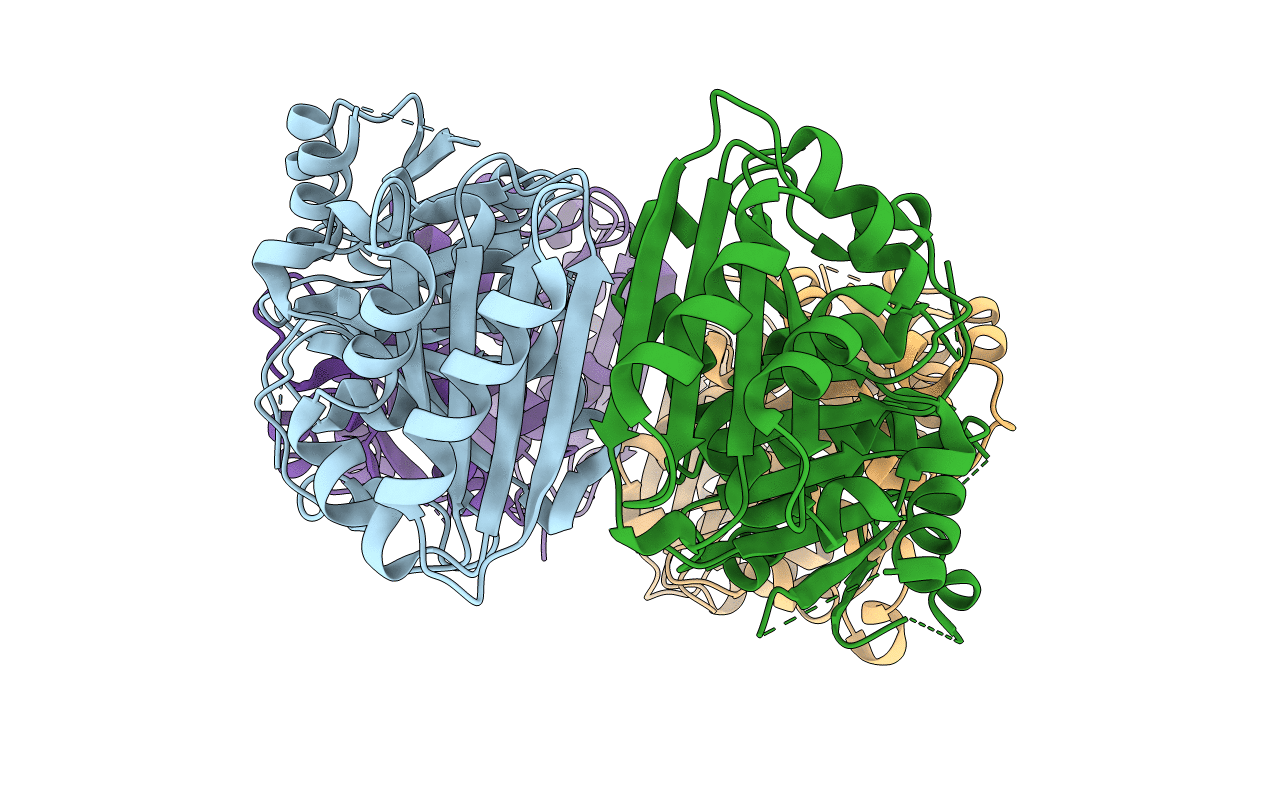 3VPA image