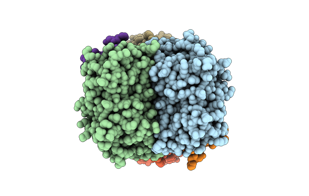 3VPB image