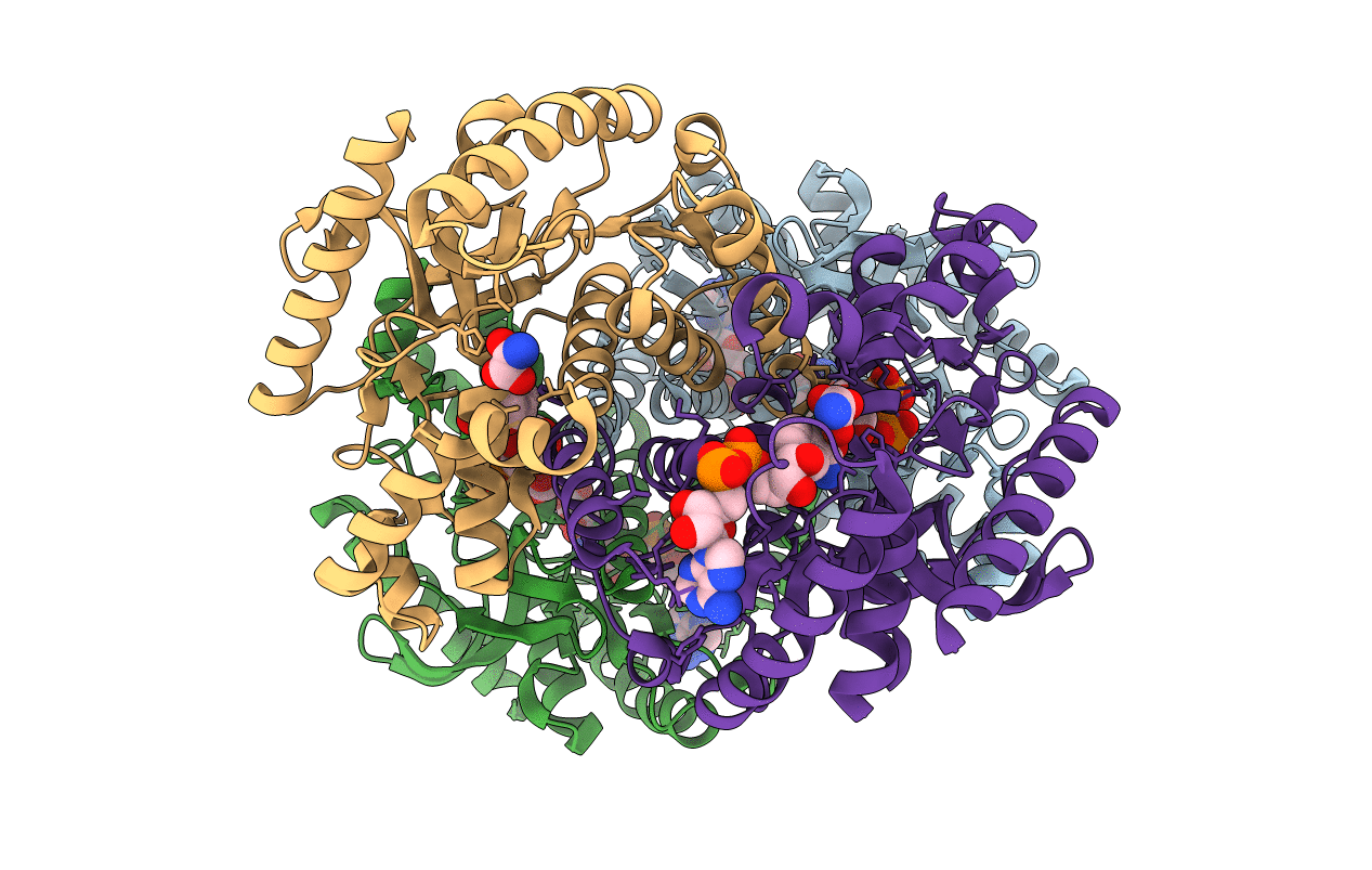3VPH image