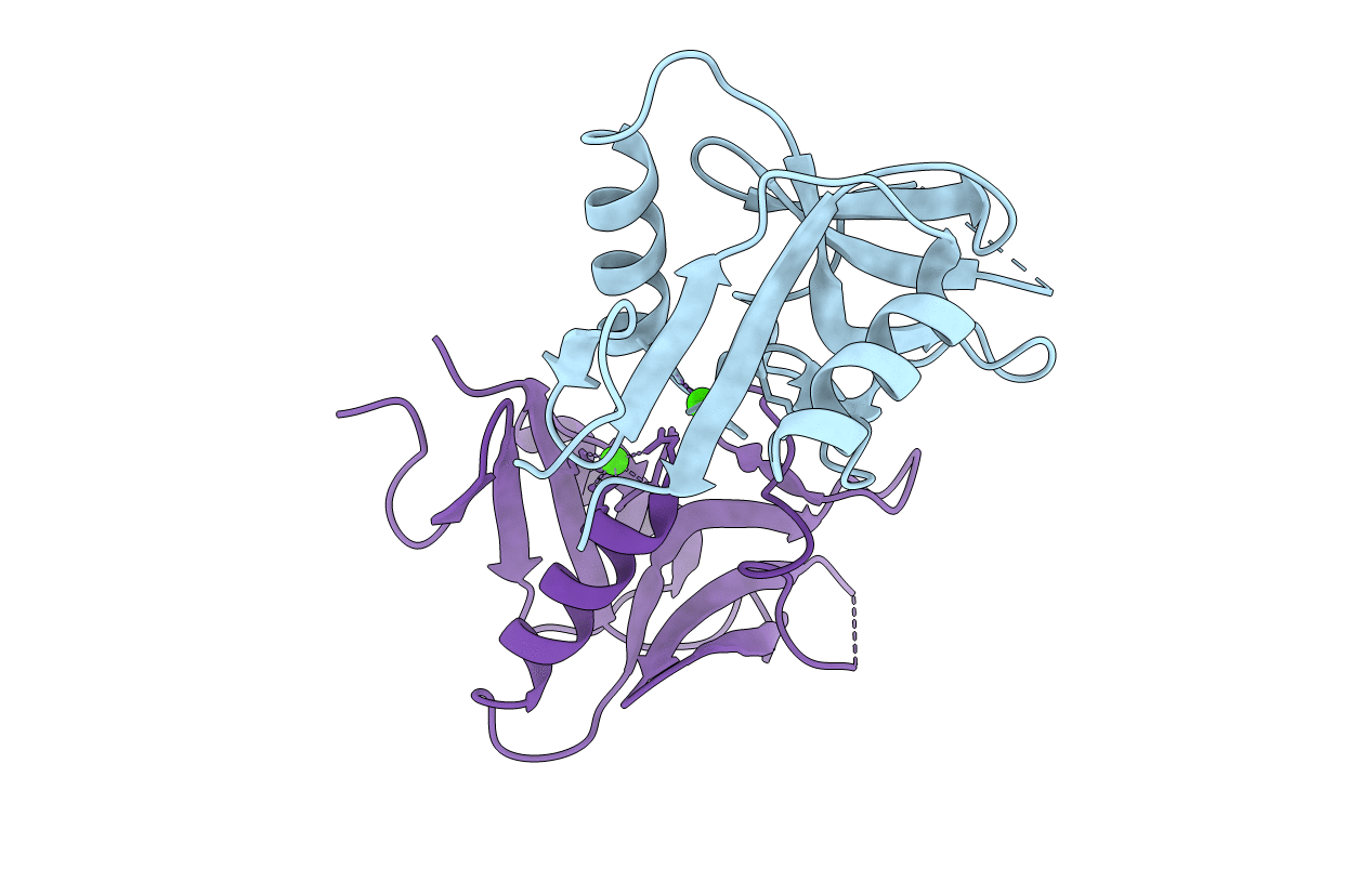 3VPP image