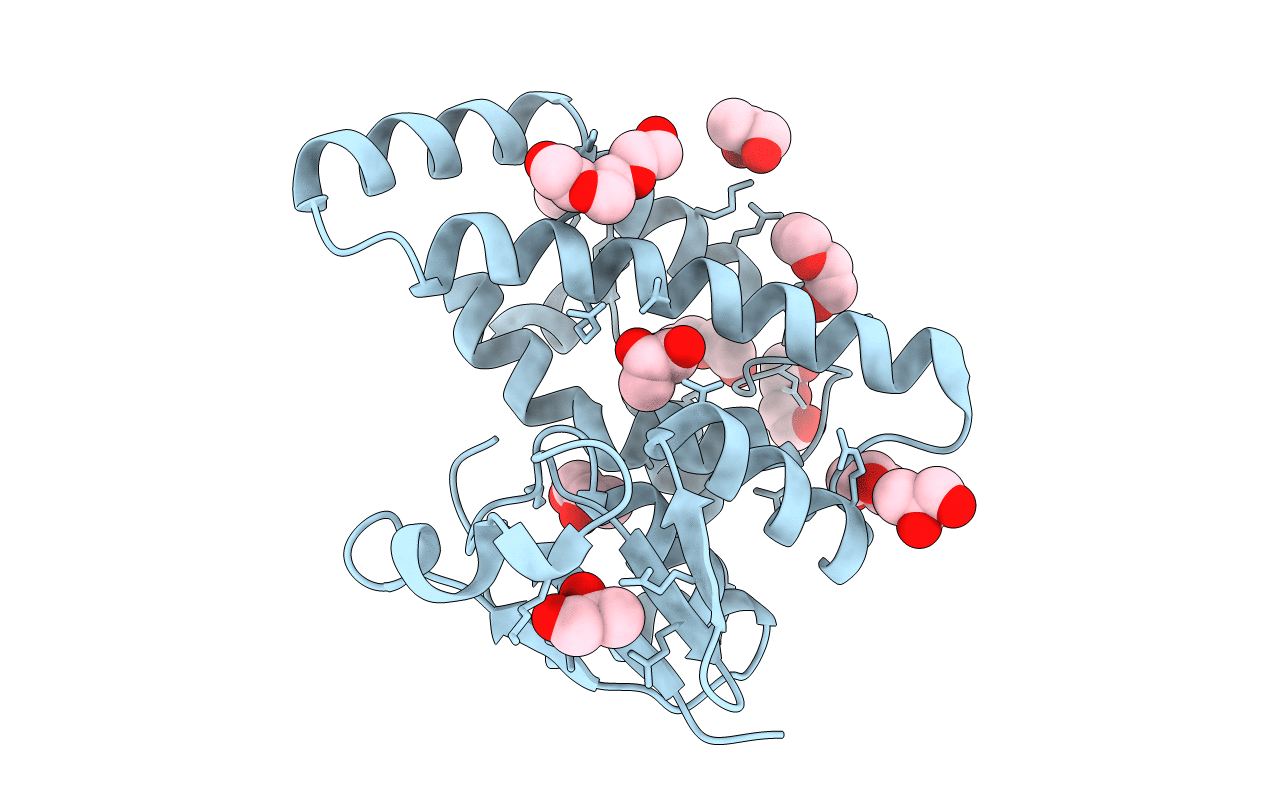 3VPT image