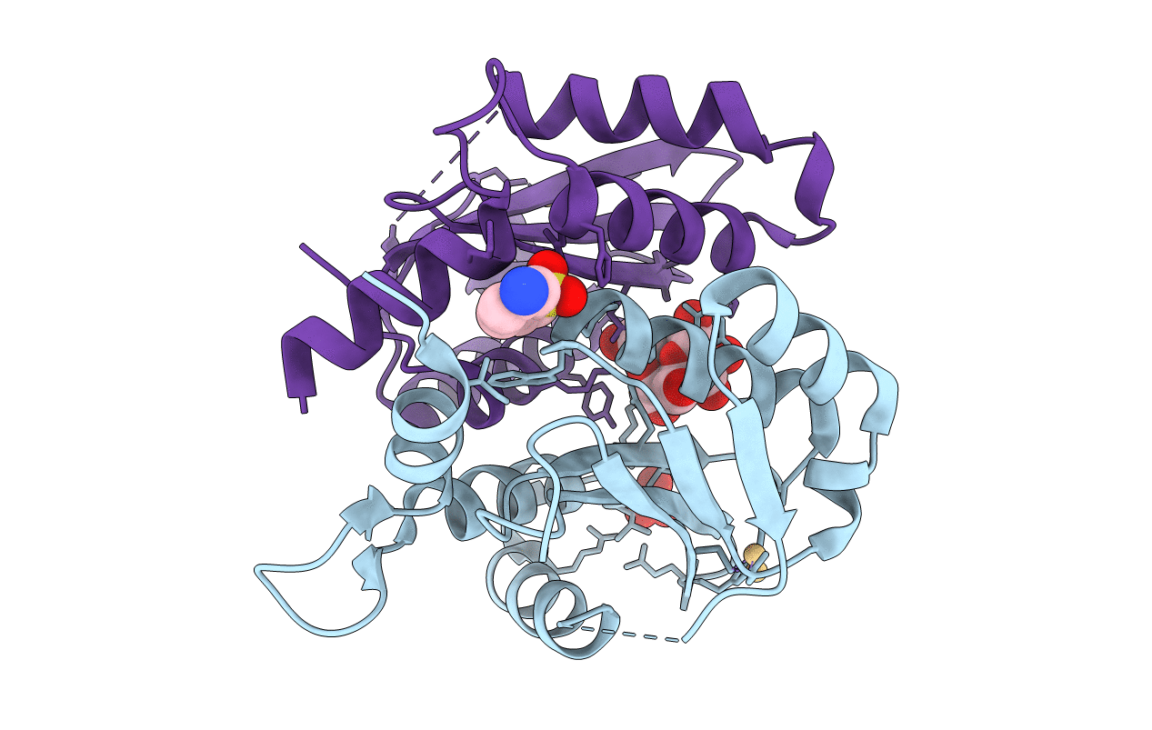 3VQA image