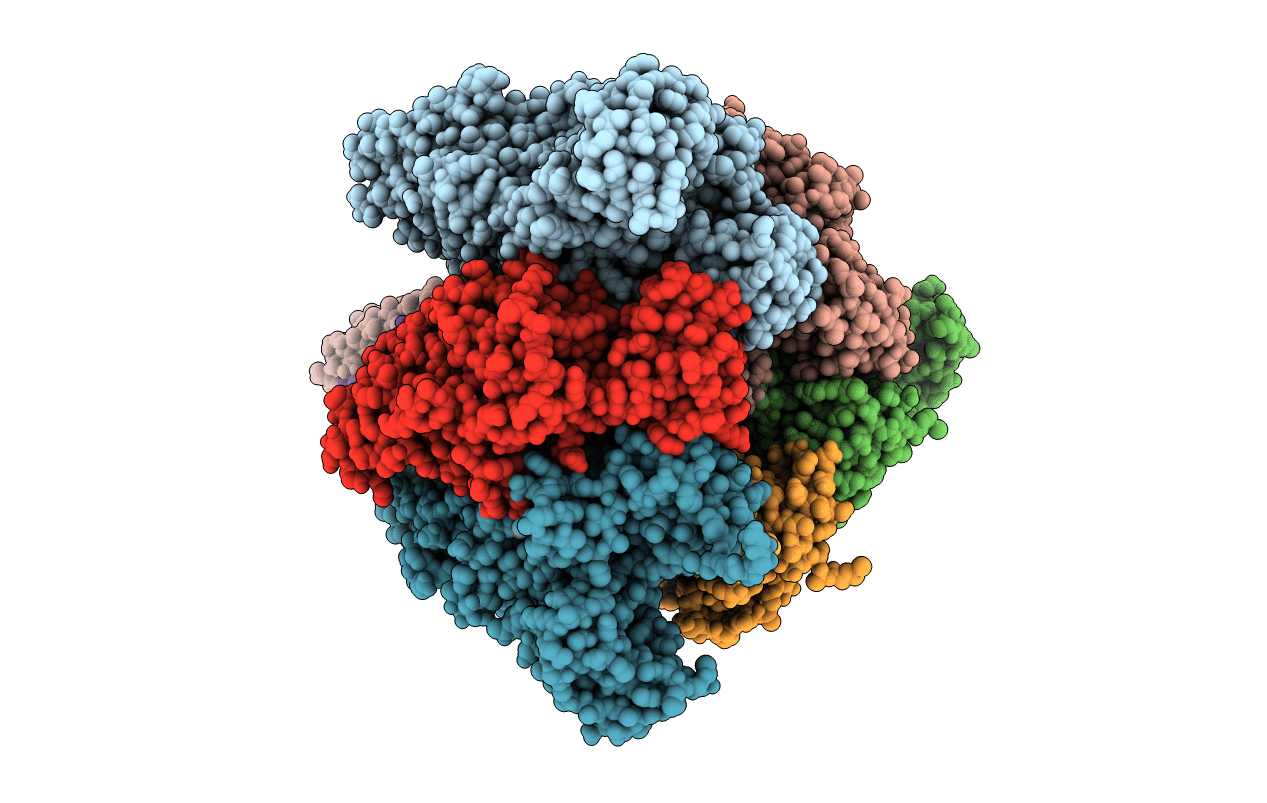 3VR5 image