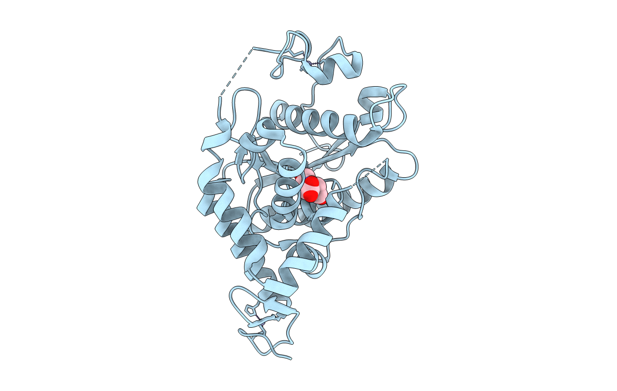 3VRH image