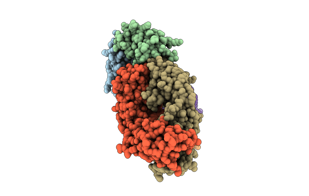 3VRL image
