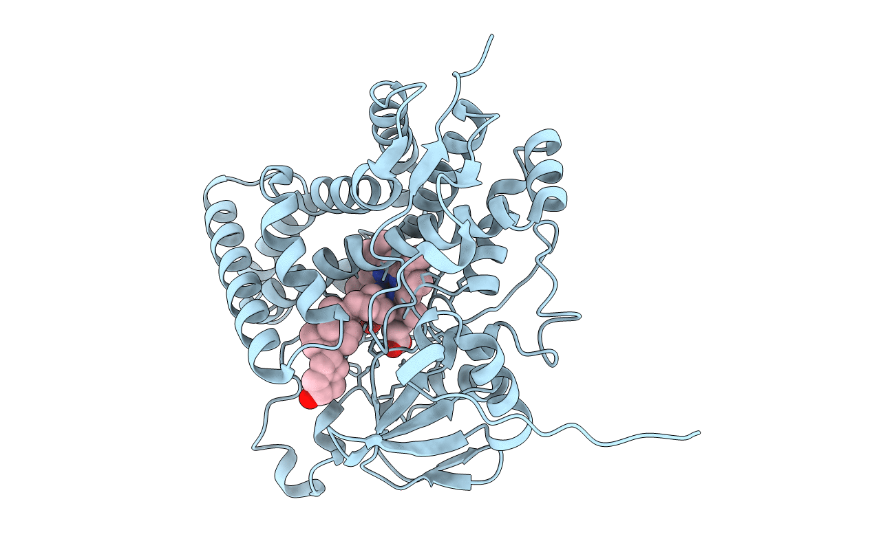 3VRM image