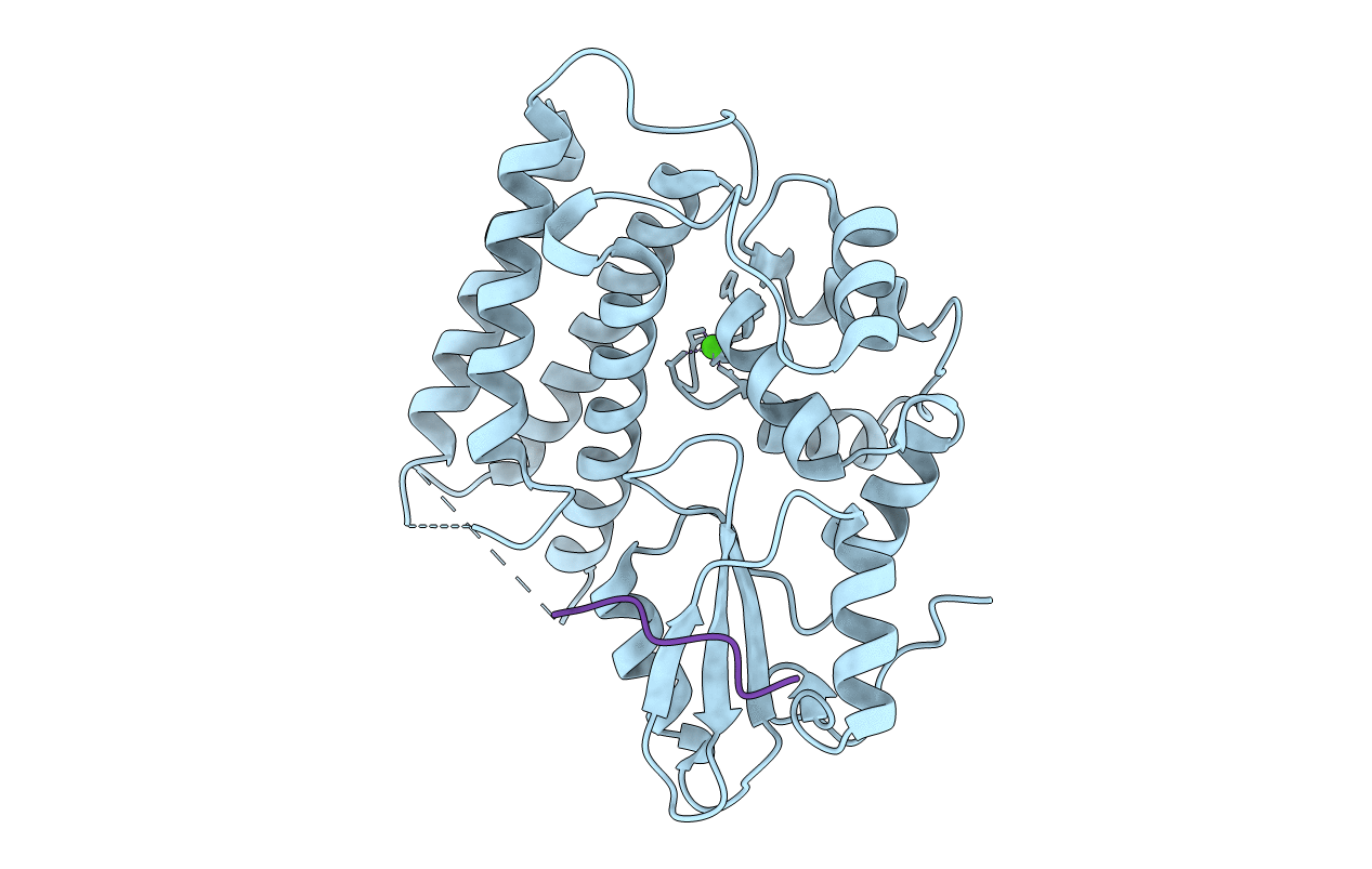 3VRP image
