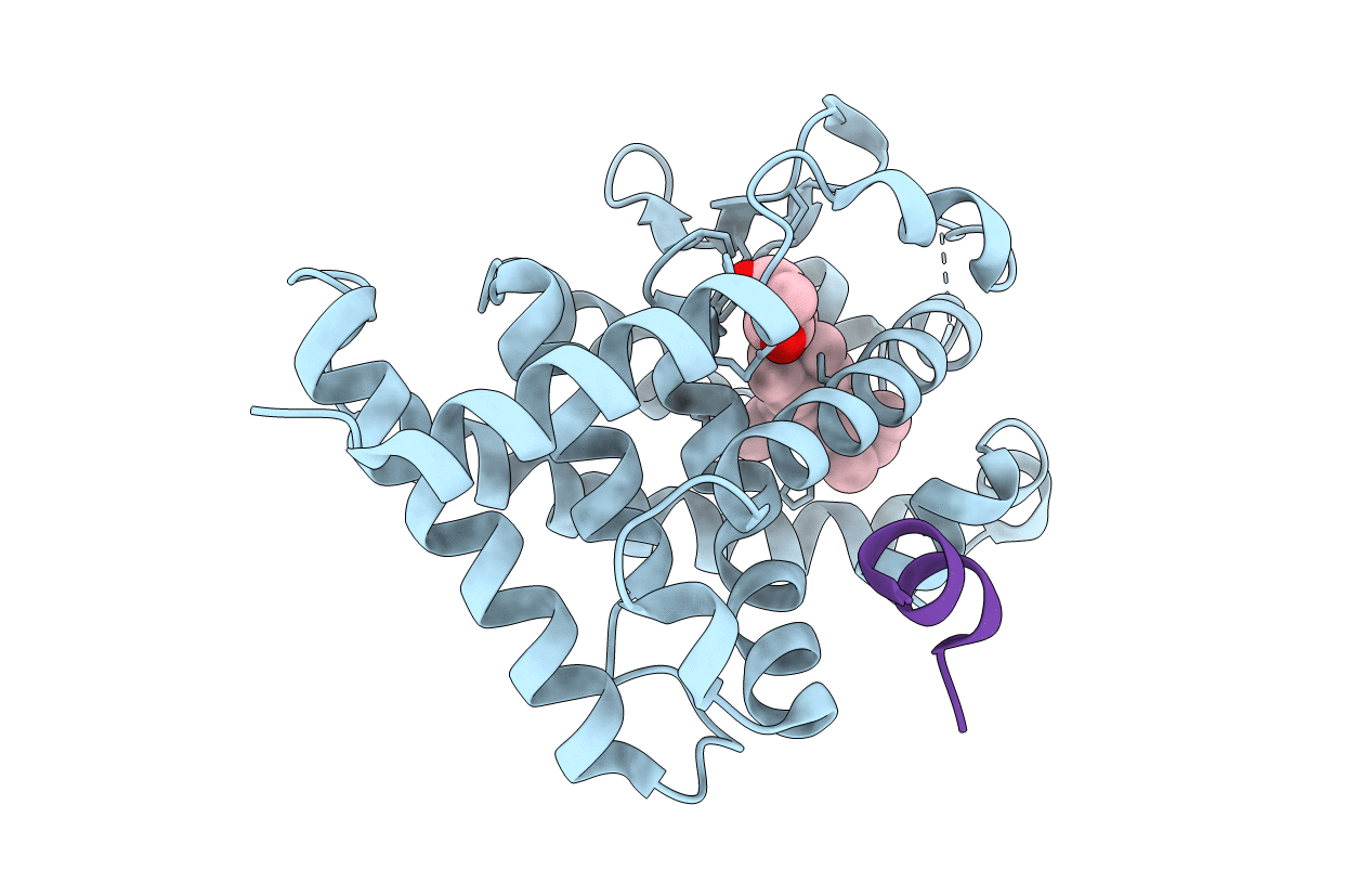 3VRW image