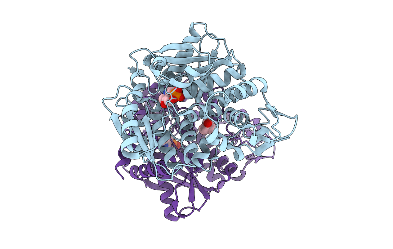 3vsa image