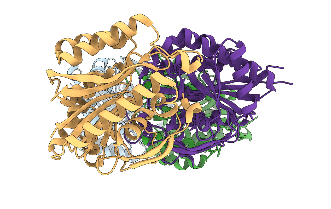 3VSG image