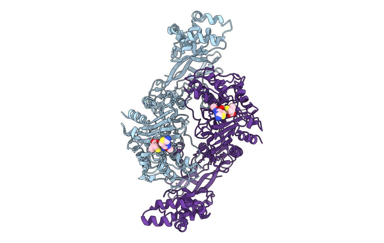 3VSL image