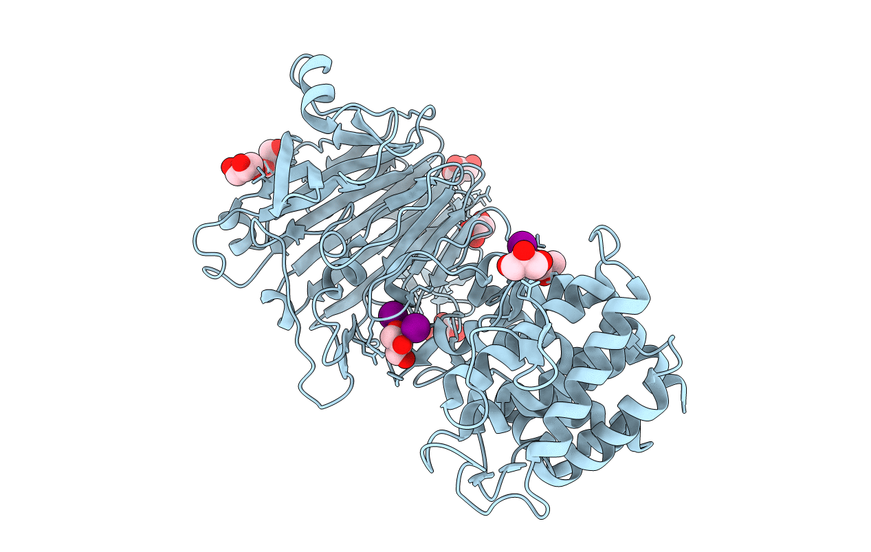 3VSN image