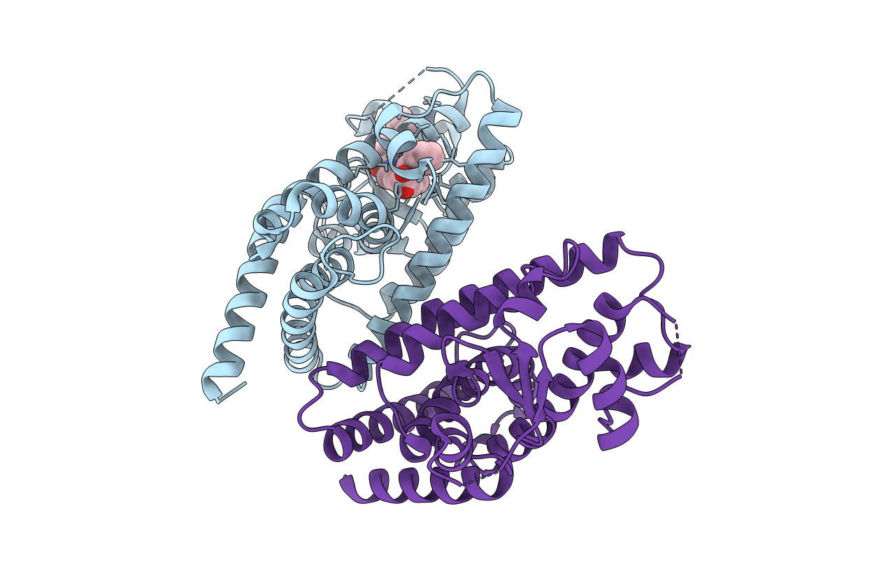 3vsp image