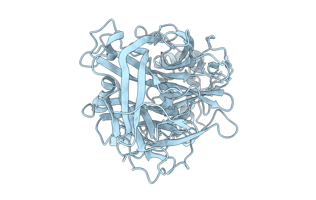 3VSR image