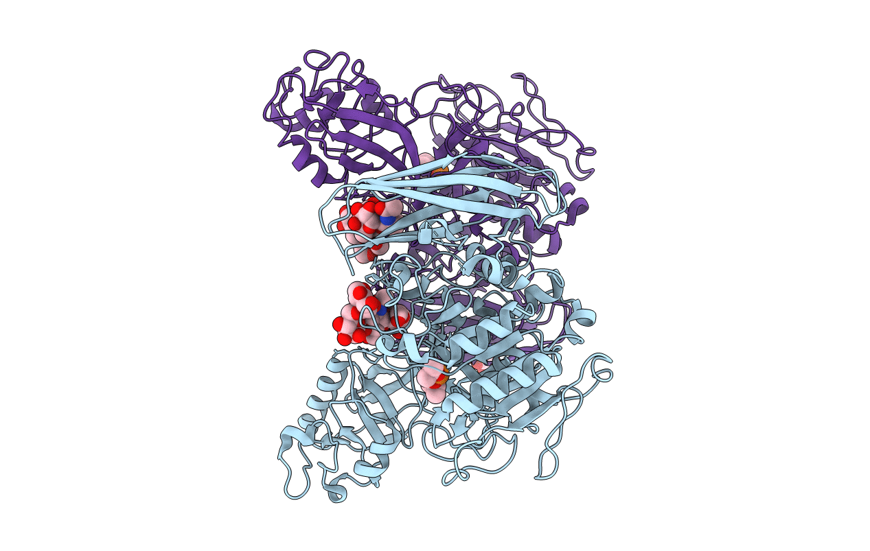 3VTA image