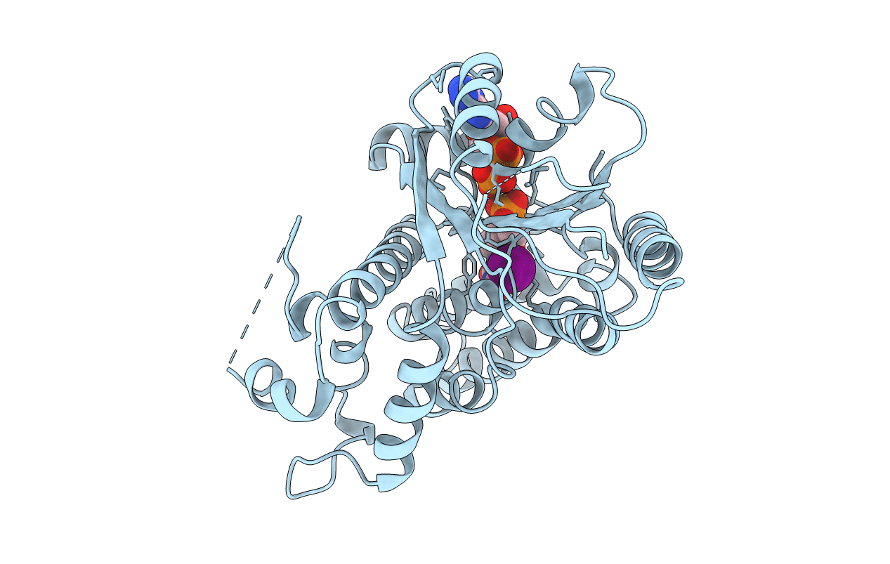 3VTK image