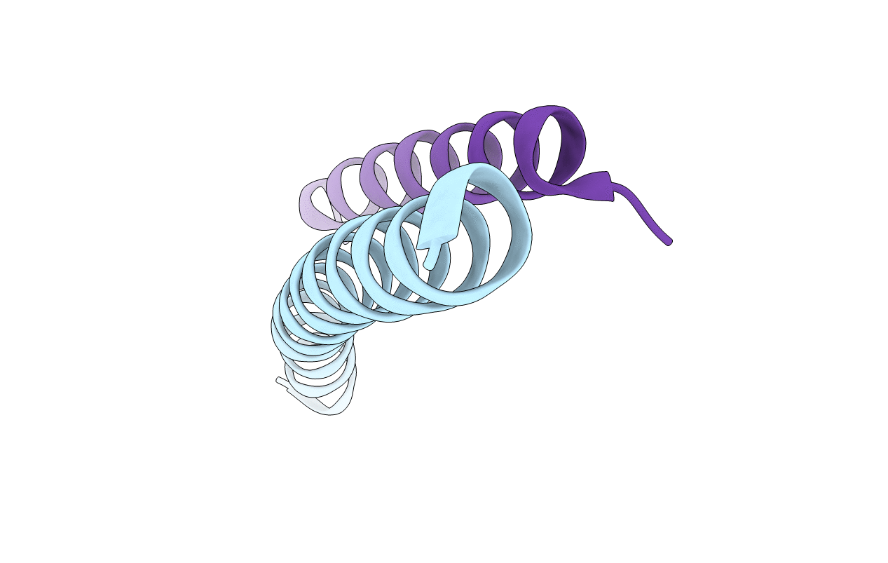 3VTP image