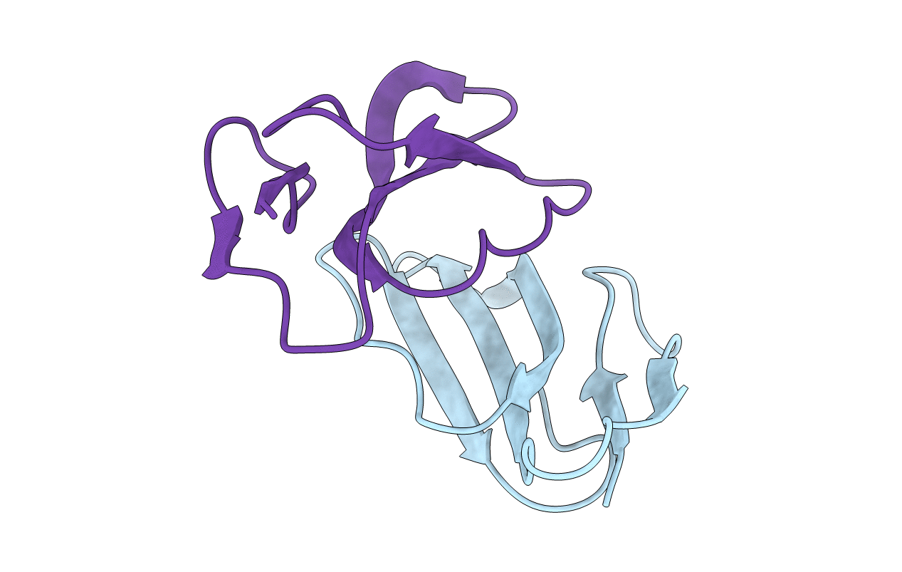 3VTS image