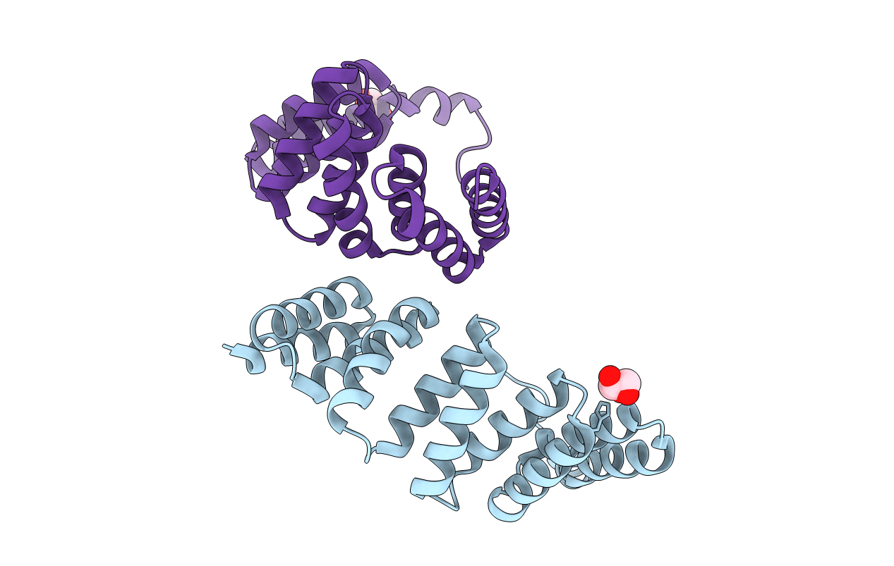 3VTX image