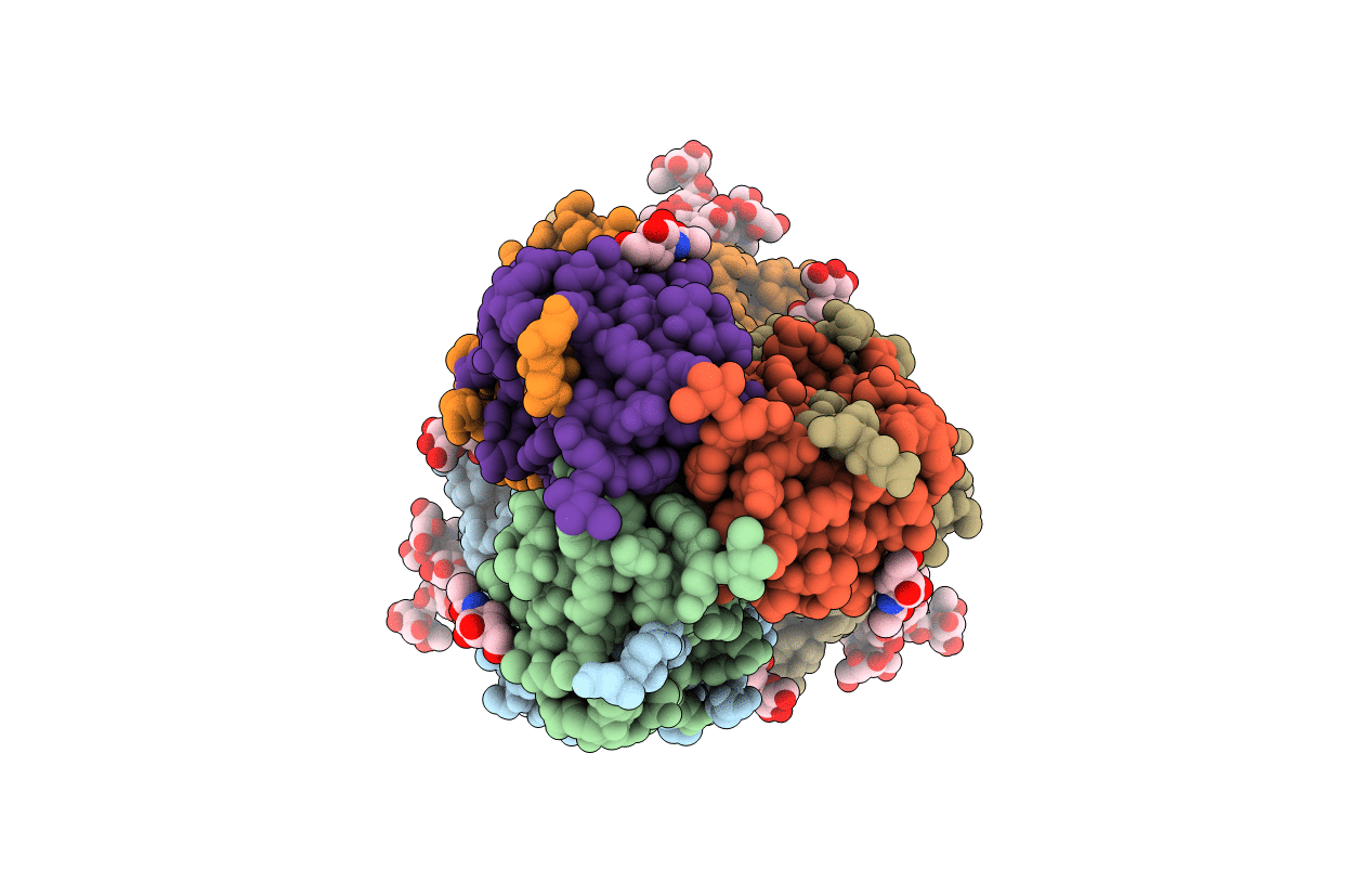 3VUN image