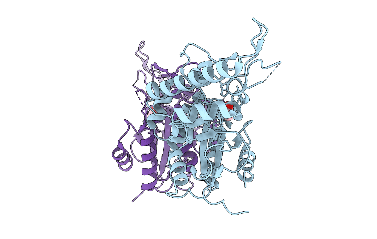3VUS image