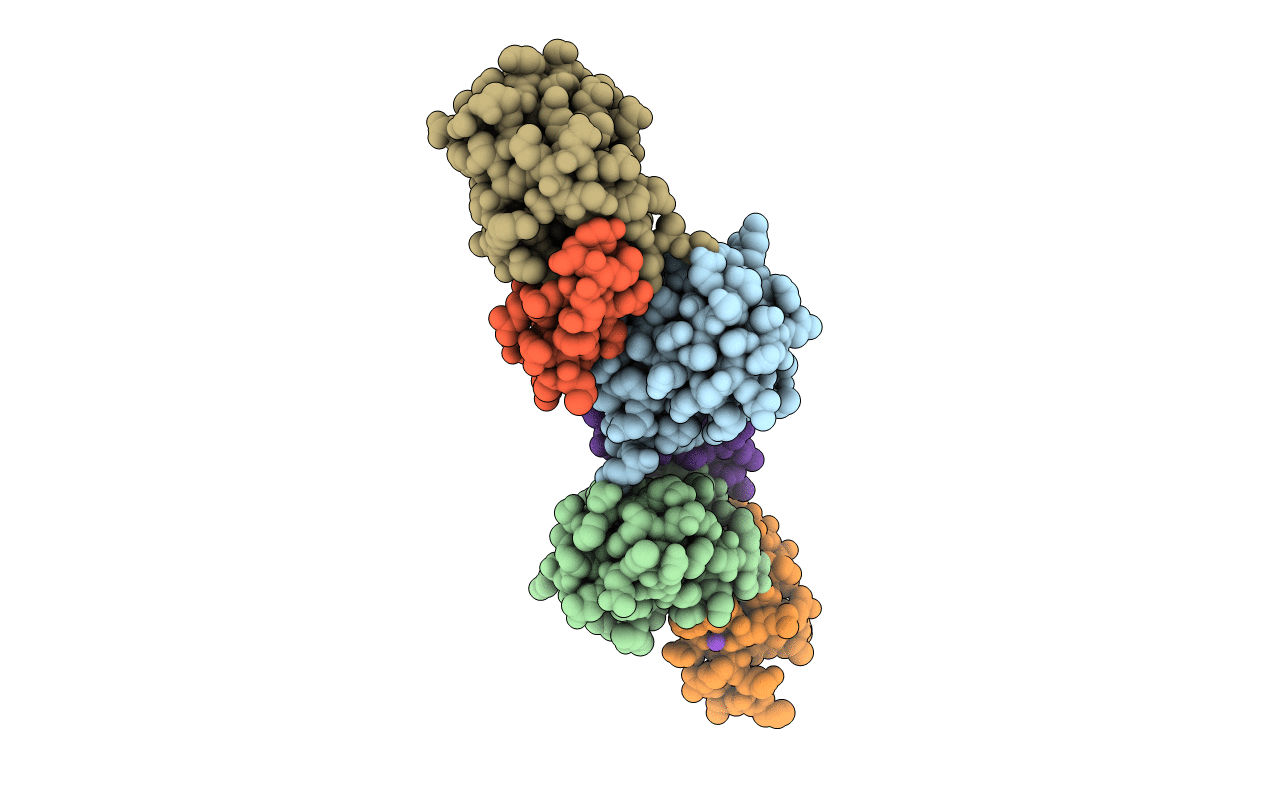 3VUW image