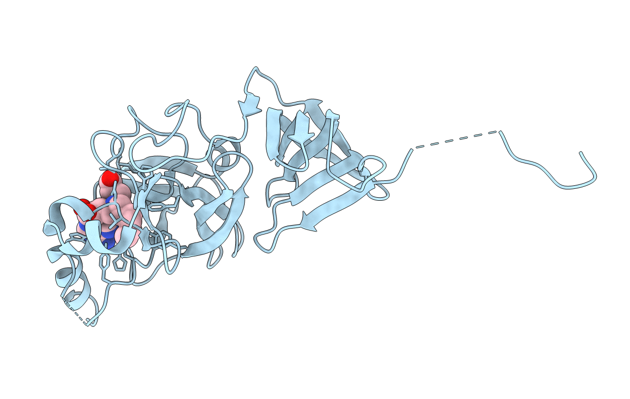 3VUZ image