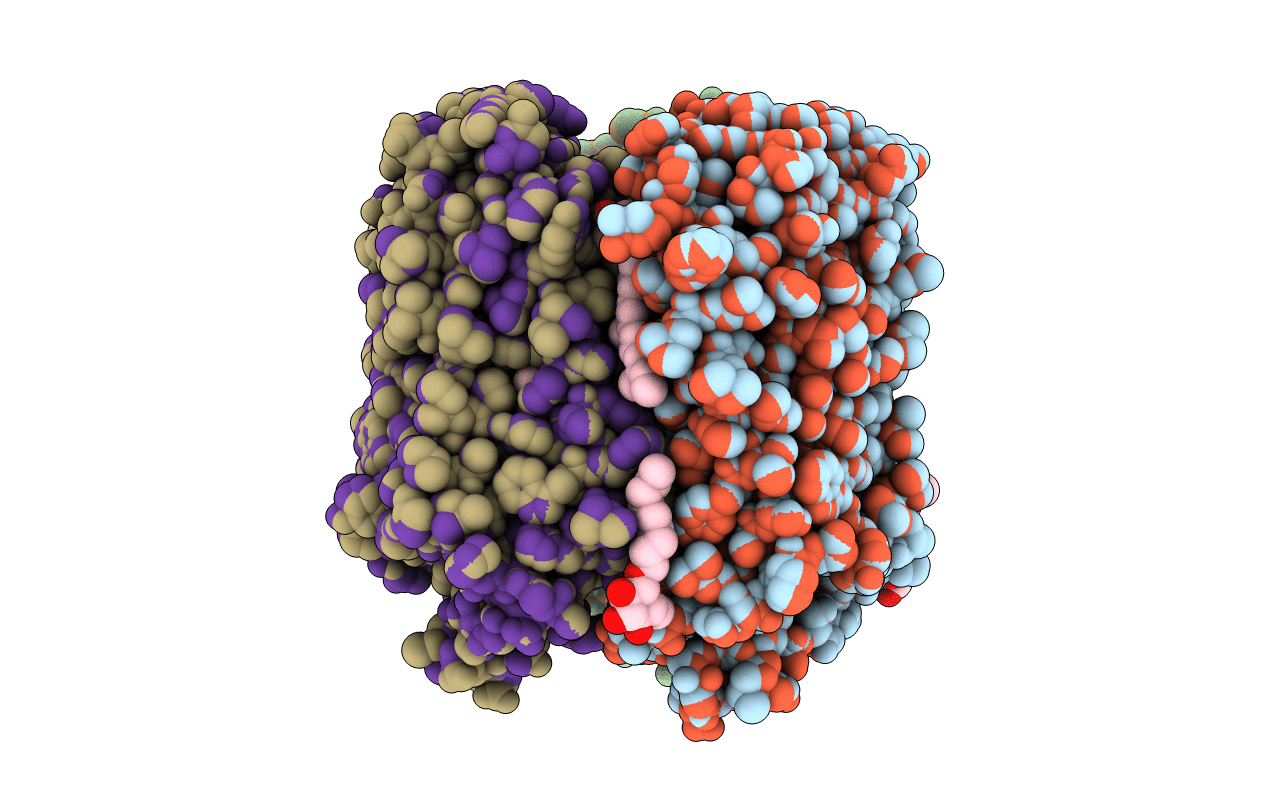 3VVK image