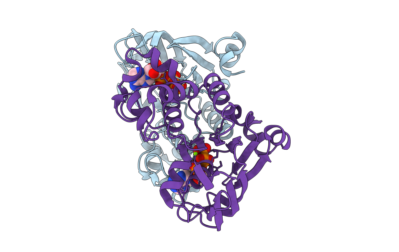 3VX4 image
