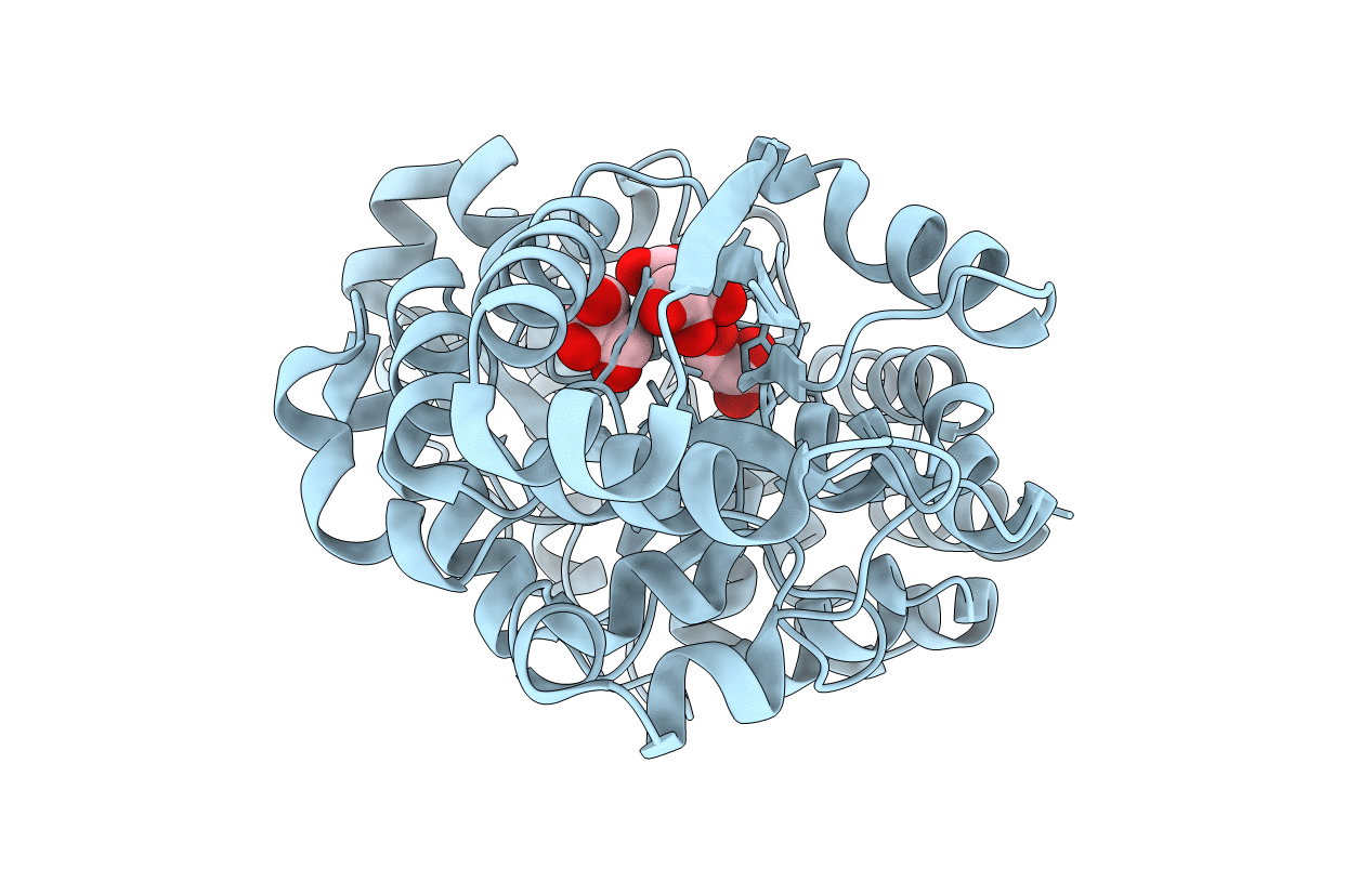 3VXB image