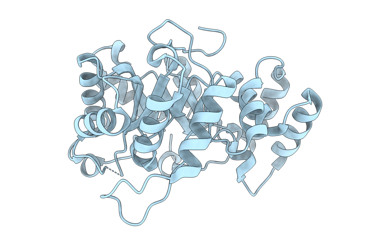 3VXG image