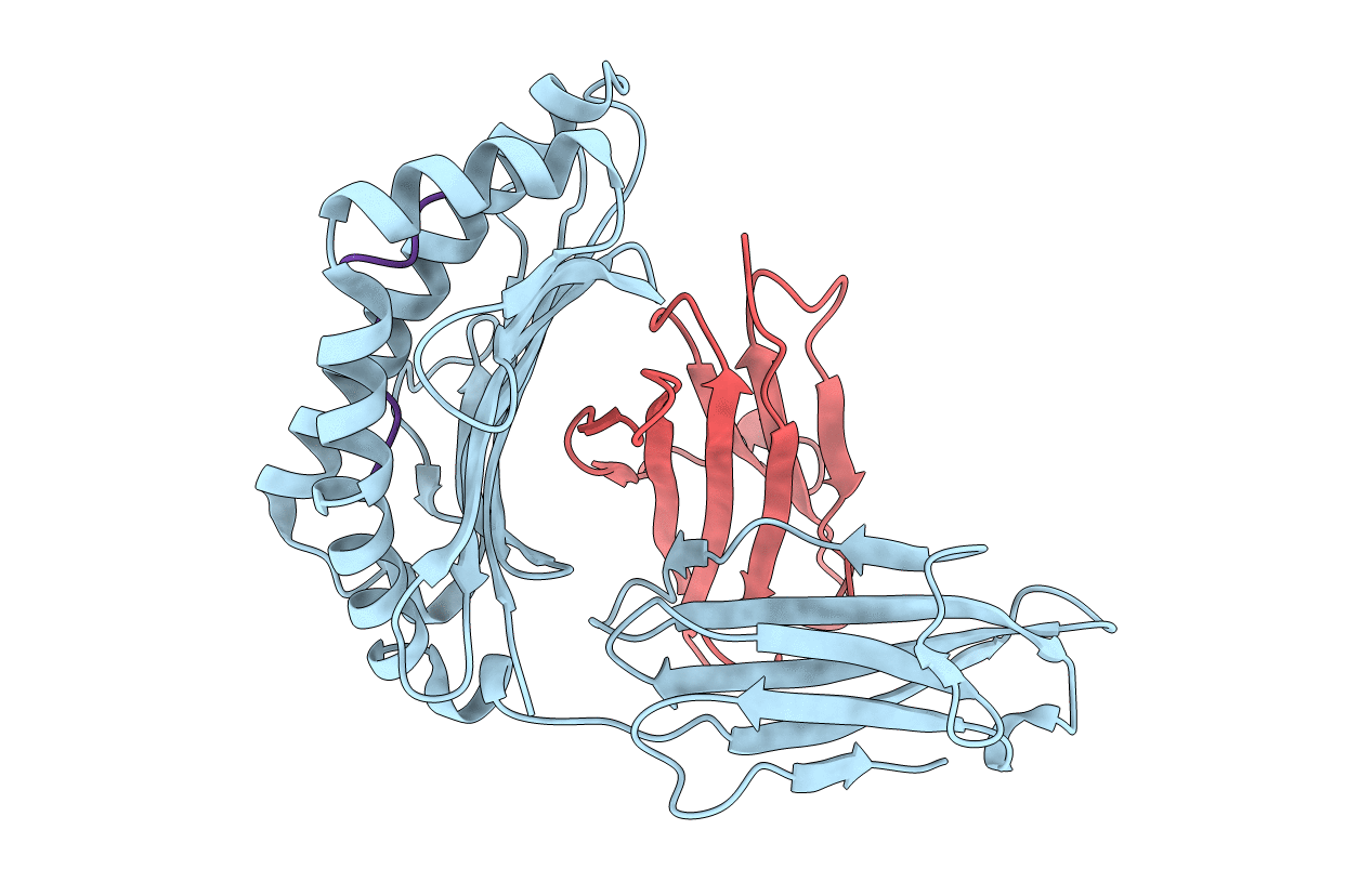 3VXN image