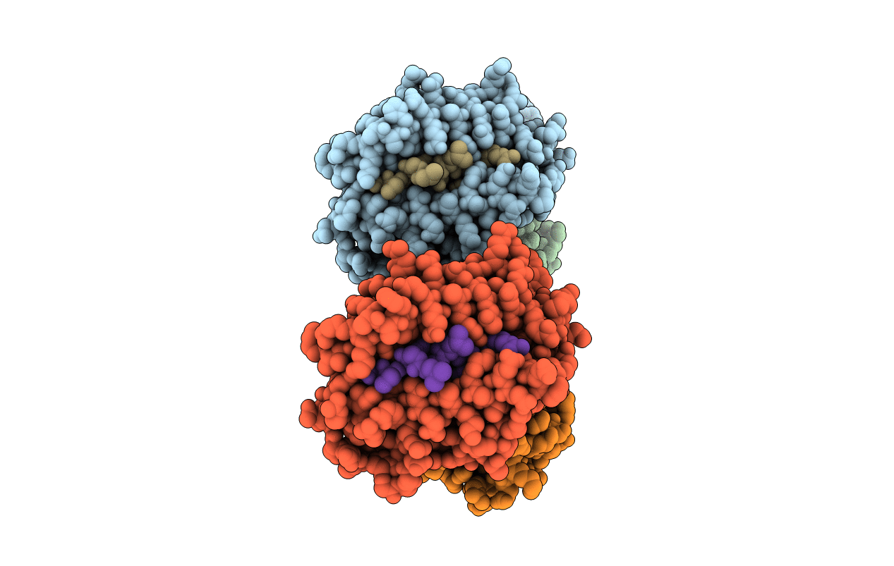 3VXP image