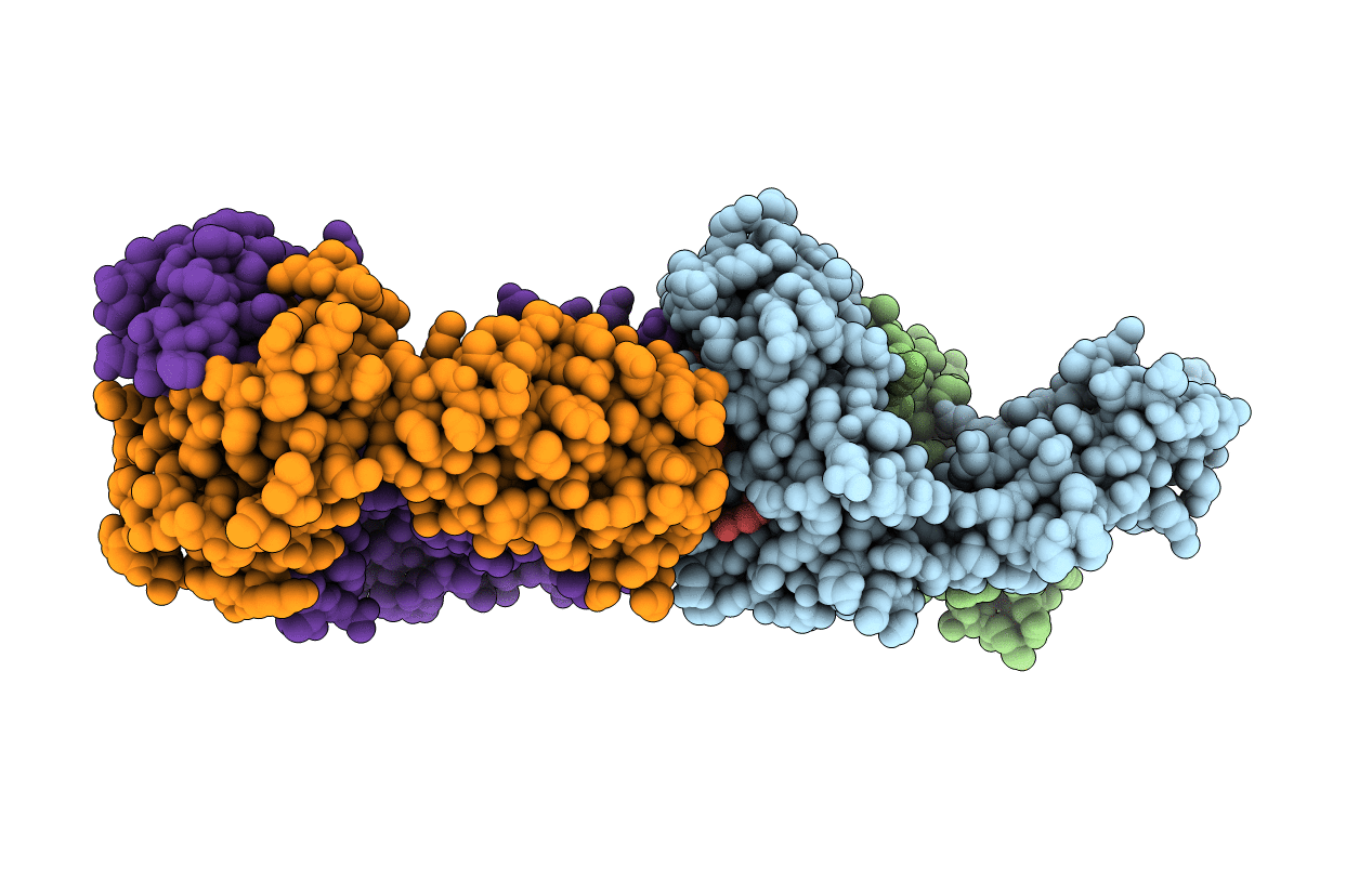 3VXR image