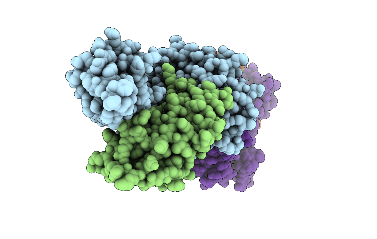 3VXS image