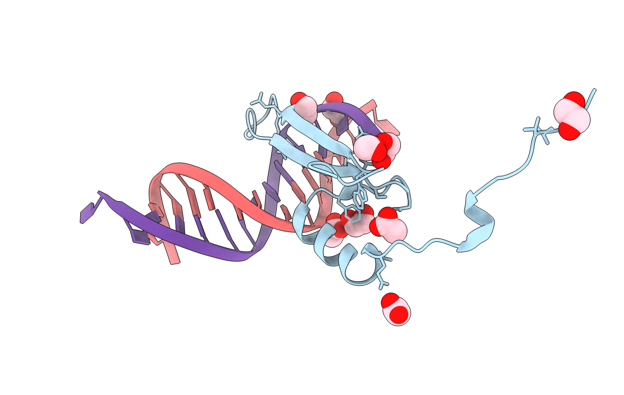 3VXV image