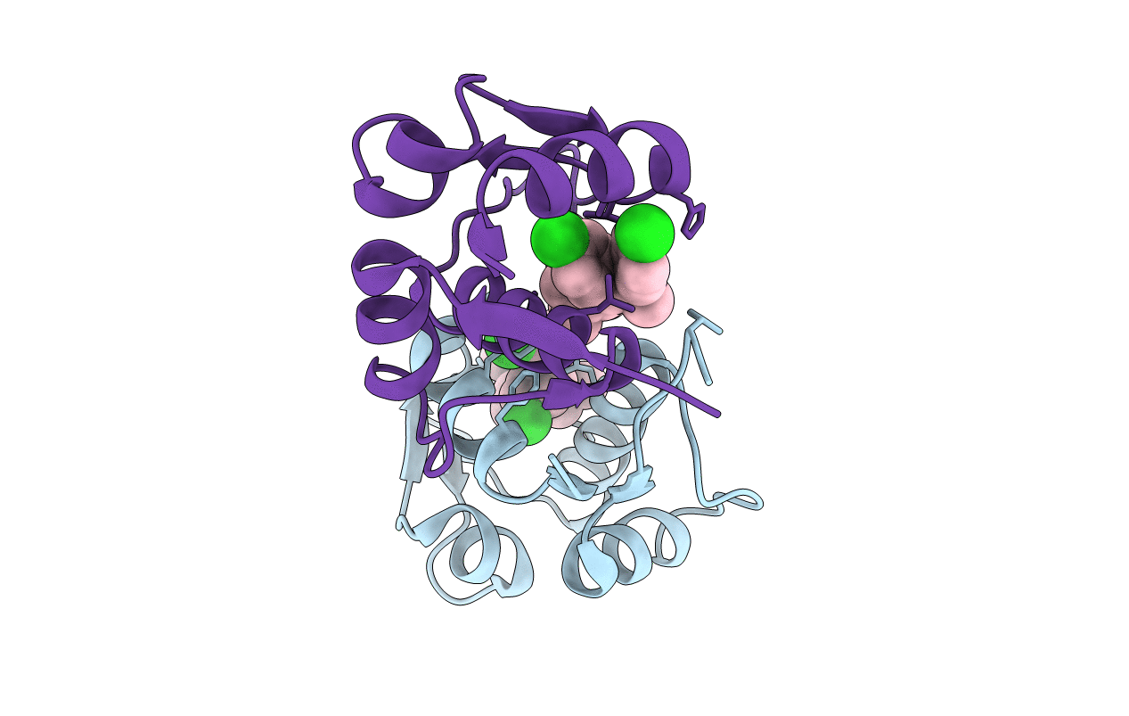 3VZV image