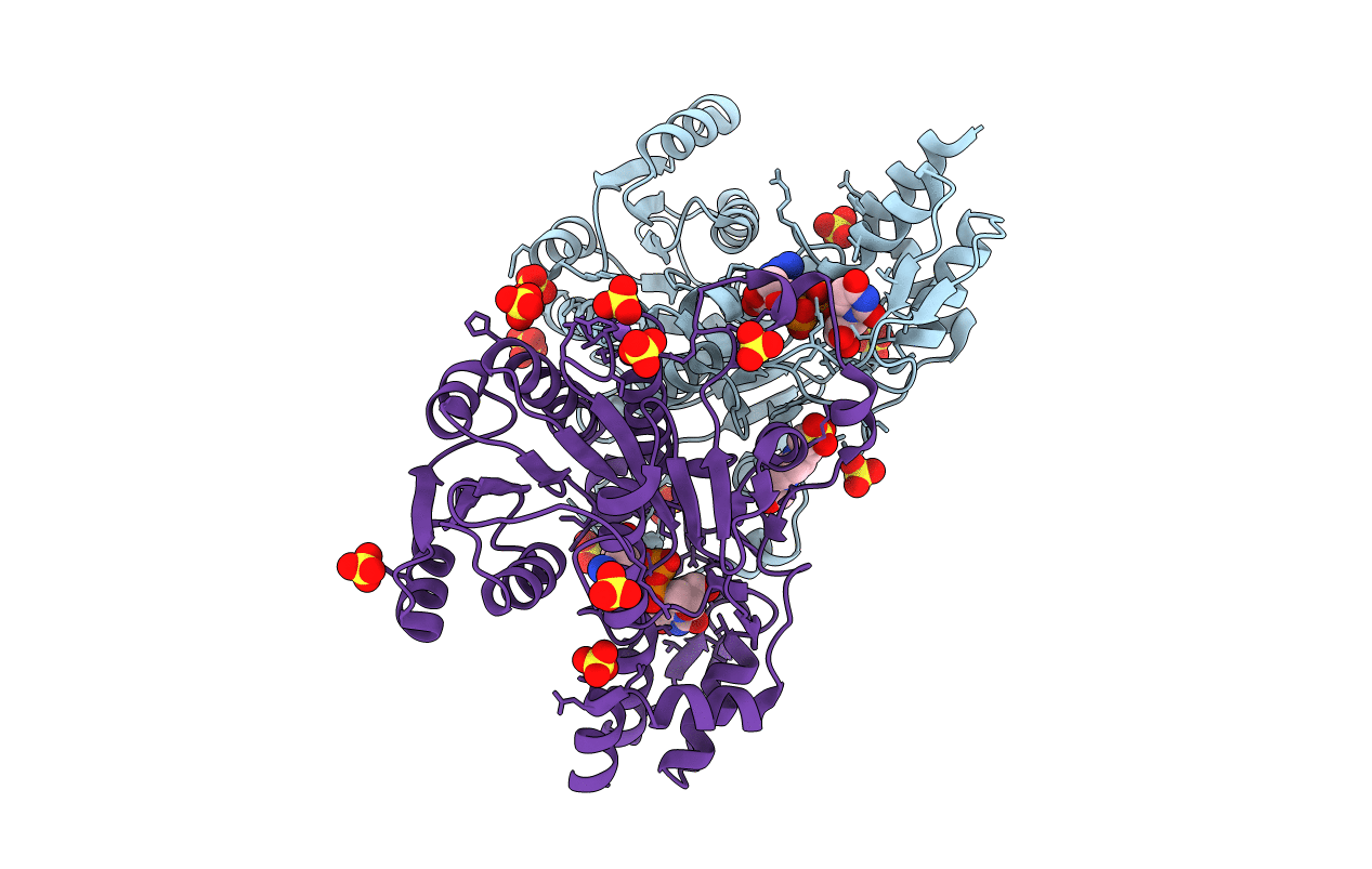 3W1V image