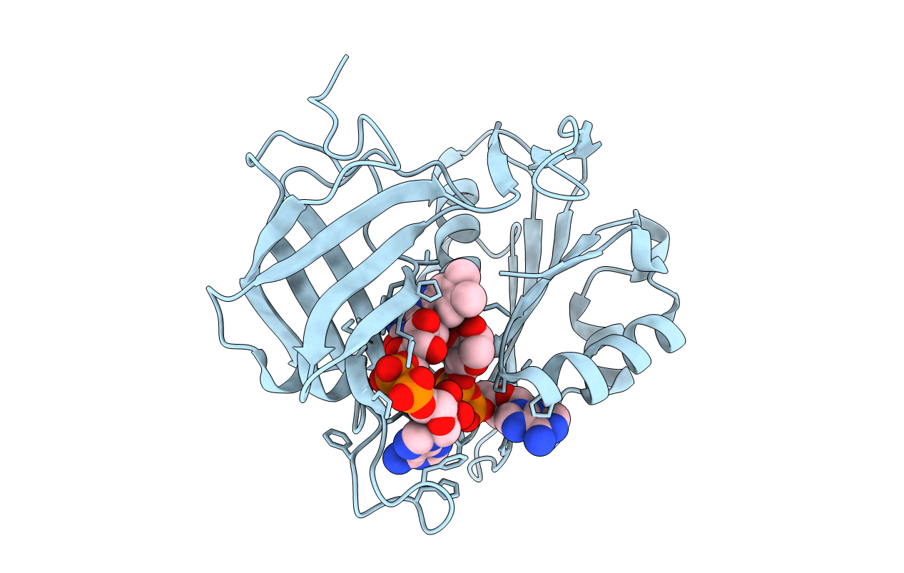 3W2I image
