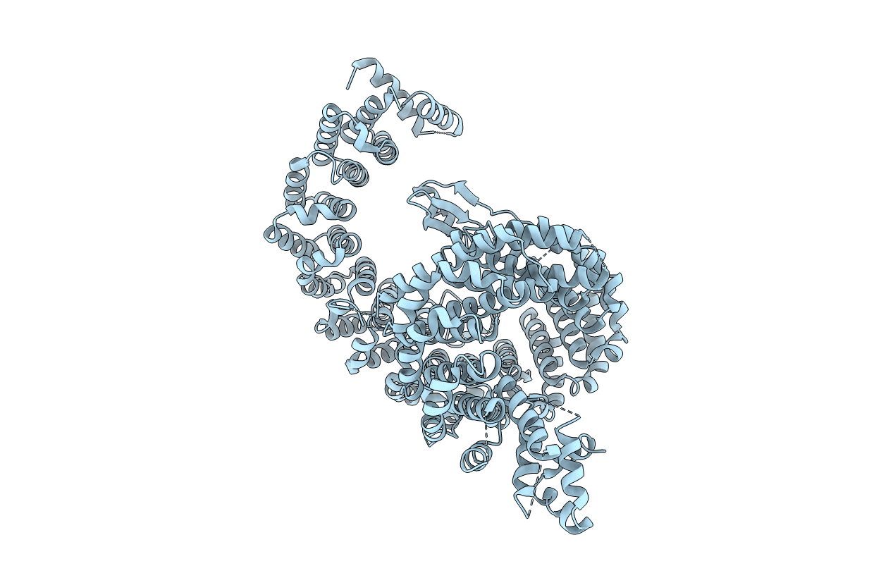 3W3V image