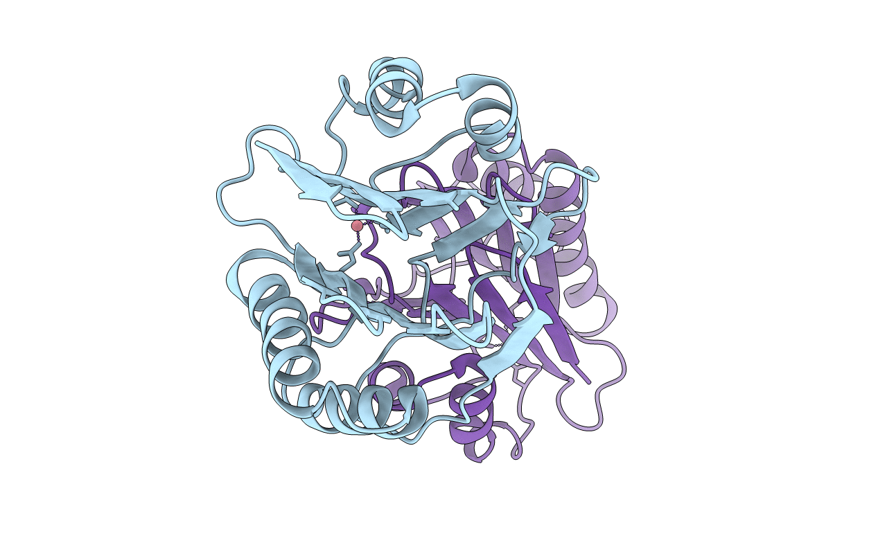 3W45 image