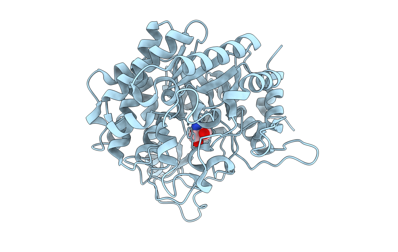 3W53 image