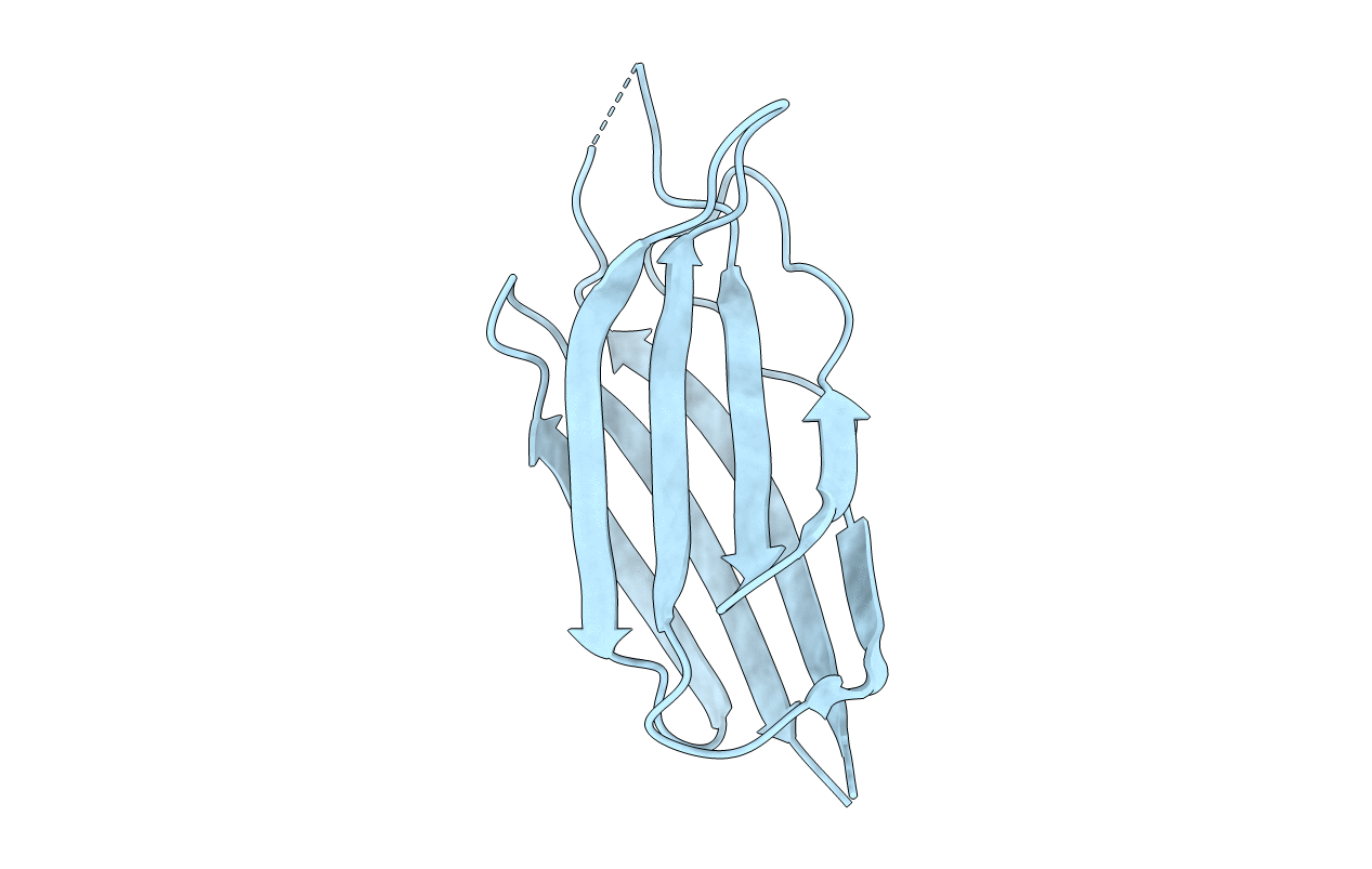 3W56 image