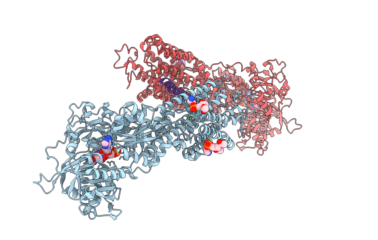 3W5A image