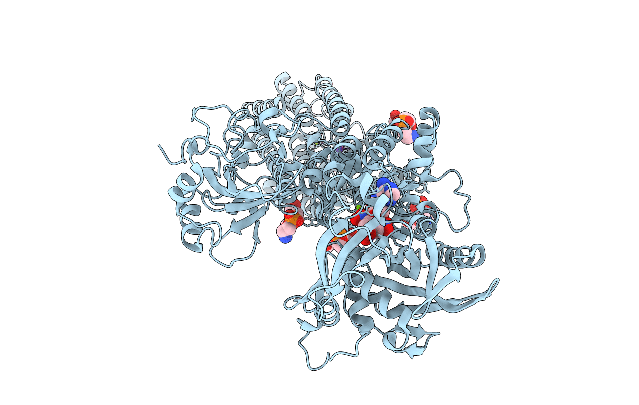 3W5B image